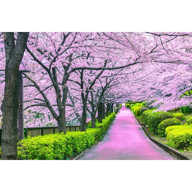 Rompecabezas Toynk Cherry Blossom Bliss Tokio 1000 piezas