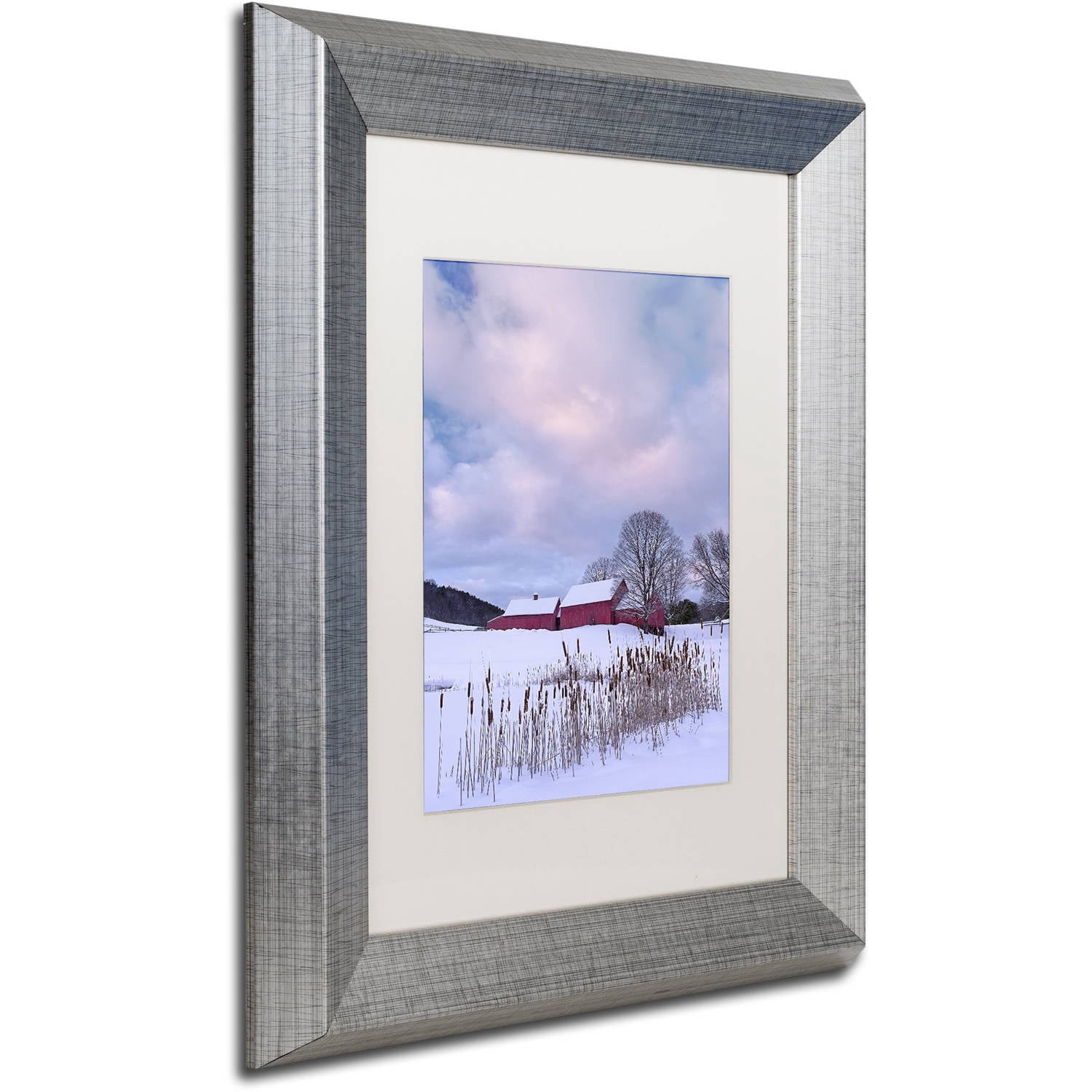 Trademark Fine Art "Cat O'Nine In Snow" Canvas Art by Michael Blanchette Photography White Matte, Silver Frame