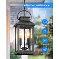 thumbnail image 2 of VIANIS 2-Light Outdoor Pendant Lights For Porch, Black Exterior Hanging Lanterns Chandelier For Gazebo, Anti-Rust Waterproof Outdoor Ceiling Lights Fixtures for House Patio with Adjustable Chain, 2 of 7