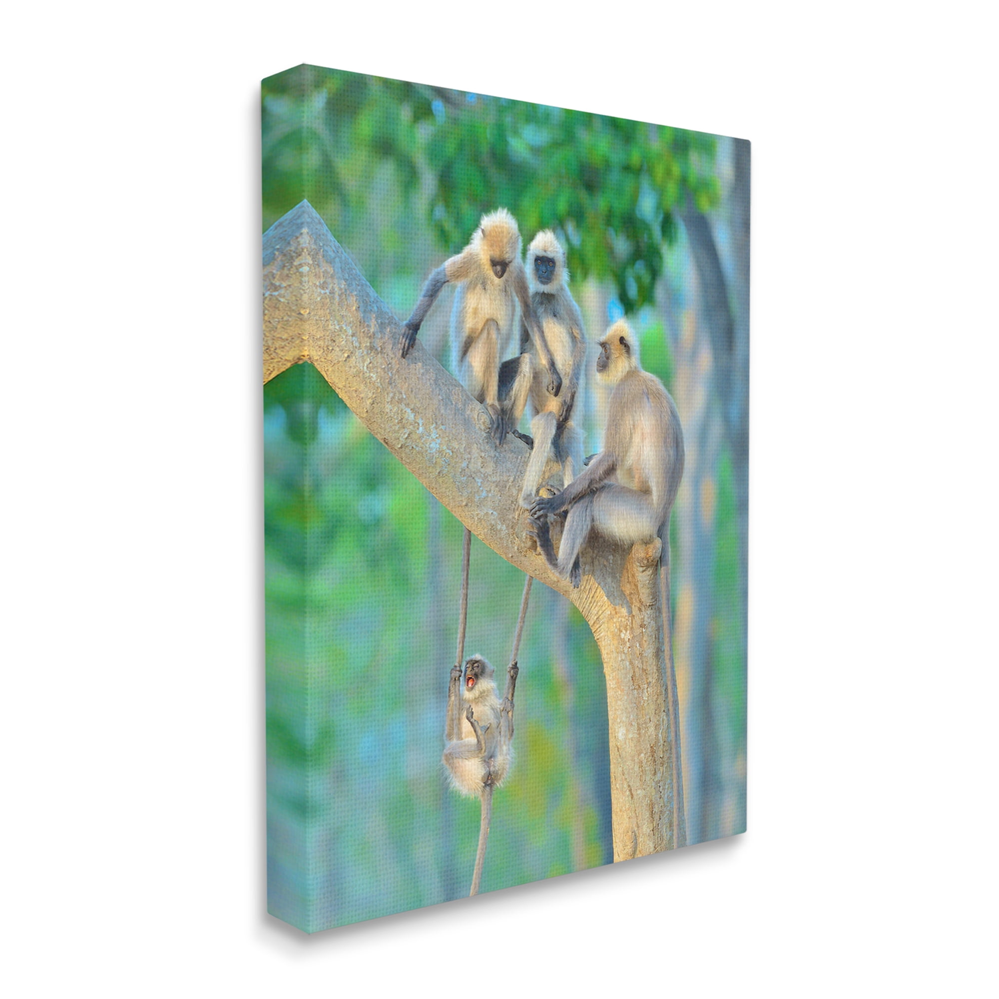Stupell Industries Fun Playing Monkeys Animals & Insects Photography Gallery Wrapped Canvas Art Print Wall Art, 36 x 48