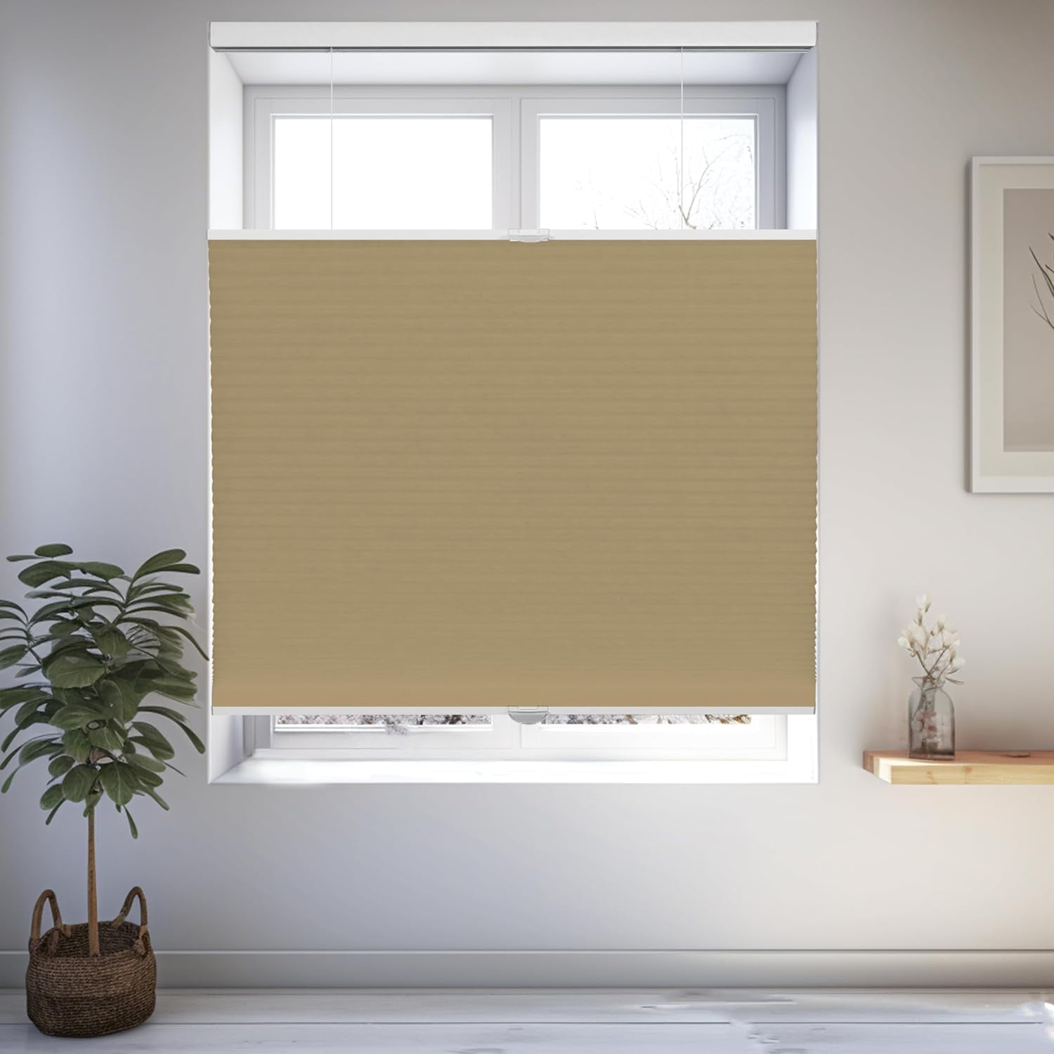 Chicology Sand Light Filtering Cordless Top Down Bottom Up Cellular Shades 59 in. W x 72 in. L