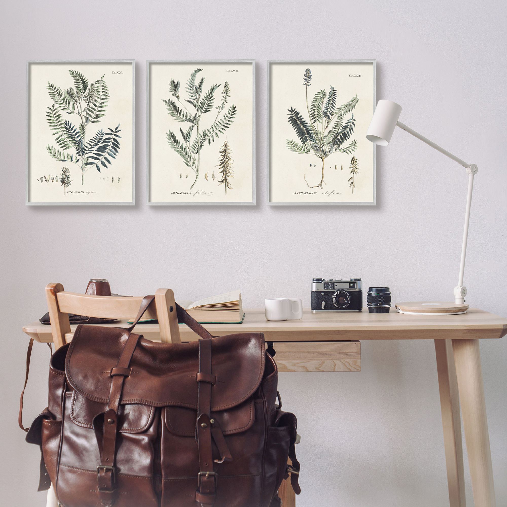 Stupell Industries Green Botanical Latin Study Vintage Herb Motif Diagram Framed Wall Art, 16 x 20, Design by Martini