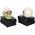 thumbnail image 7 of Vintage Style Skull on Black Stacked Books Bookends - Novelty Resin Skeleton Human Head Statue Halloween Décor - Book Supports, 1 Pair, 7 of 7