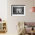 thumbnail image 3 of Historic Framed Print, Knockout Brown and sparring partner, 17-7/8" x 21-7/8", 3 of 9