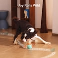 thumbnail image 4 of Juguete Interactivo Inteligente para Perros Hoochii Wicked Ball Rolly, 4 of 8