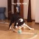 thumbnail image 4 of Juguete Interactivo Inteligente para Perros Hoochii Wicked Ball Rolly, 4 of 8