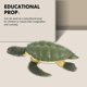 thumbnail image 4 of Tortoise Model Plastic Tortoise Turtle Model Figure Animal Toy Educational Toy, 4 of 4