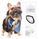thumbnail image 3 of Balery Blue Sky Meadow Cute Cow Sudadera con Capucha para Perros Pequeños – Ropa para Mascotas, Disfraz para Perros y Gatos, Ideal para Fiestas y Cosplay-XX-Large, 3 of 7