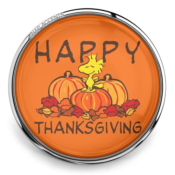 Happy Thanksgiving Pumpkins Snap Jewelry Ginger Charm Button, For Interchangeable DIY Customizable Accessories