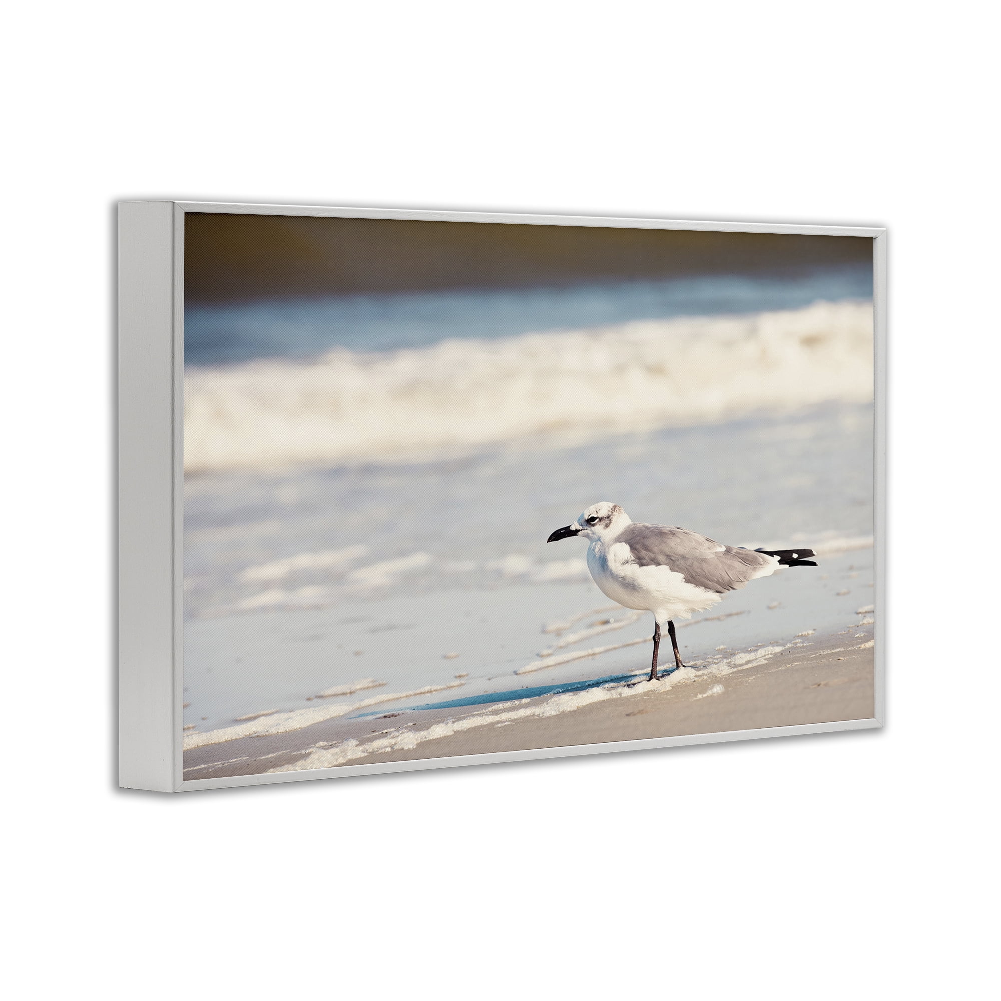 Stupell Industries Seagull Stepping on Shore Coastal Photography White Framed Art Print Wall Art, 30 x 20
