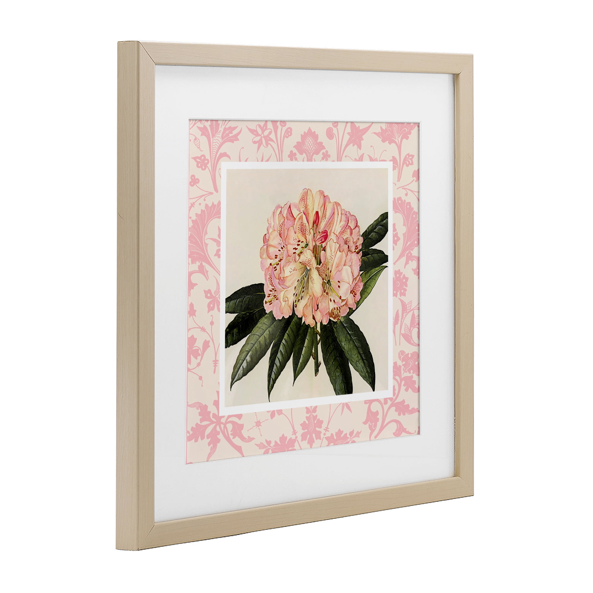 Stupell Industries Pink Pattern Botanical Birch Framed Print Under Glass, design by Livi Finn