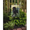 thumbnail image 2 of Carolines Treasures SS8151GF Affenpinscher Flag - Garden Size, 2 of 3