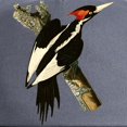thumbnail image 2 of CafePress - Ivory Billed Woodpecker Cap - Adjustable 100% Brushed Unisex Casual Cotton Baseball Cap, Beige, 1, 2 of 2