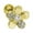 Gold, variant on 16GA Flower Design 316L Surgical Steel Cartilage Stud 2 Color Options Men Women