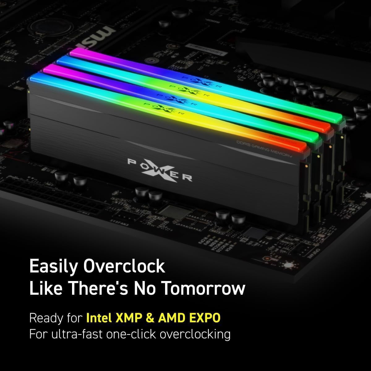 XPOWER Zenith RGB - DDR5 - kit - 64 GB: 2 x 32 GB - DIMM 288-pin - 3000 MHz / PC5-48000 - CL30 - 1.35 V - unbuffered - on-die ECC - black