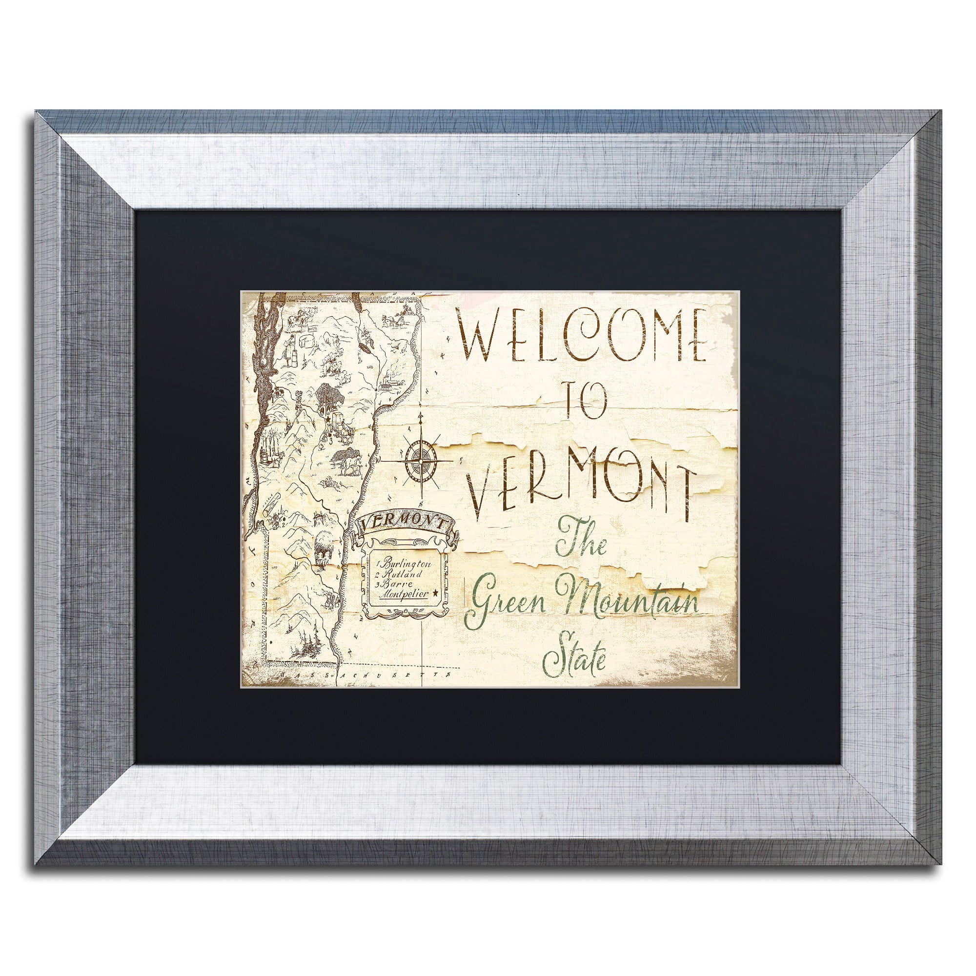 Trademark Fine Art "Vermont Summer IX" Canvas Art by Color Bakery Black Matte, Silver Frame