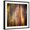 Black Frame, variant on Art.com Autumn Walk Photographic Print by Ursula Abresch, 24" x 24"