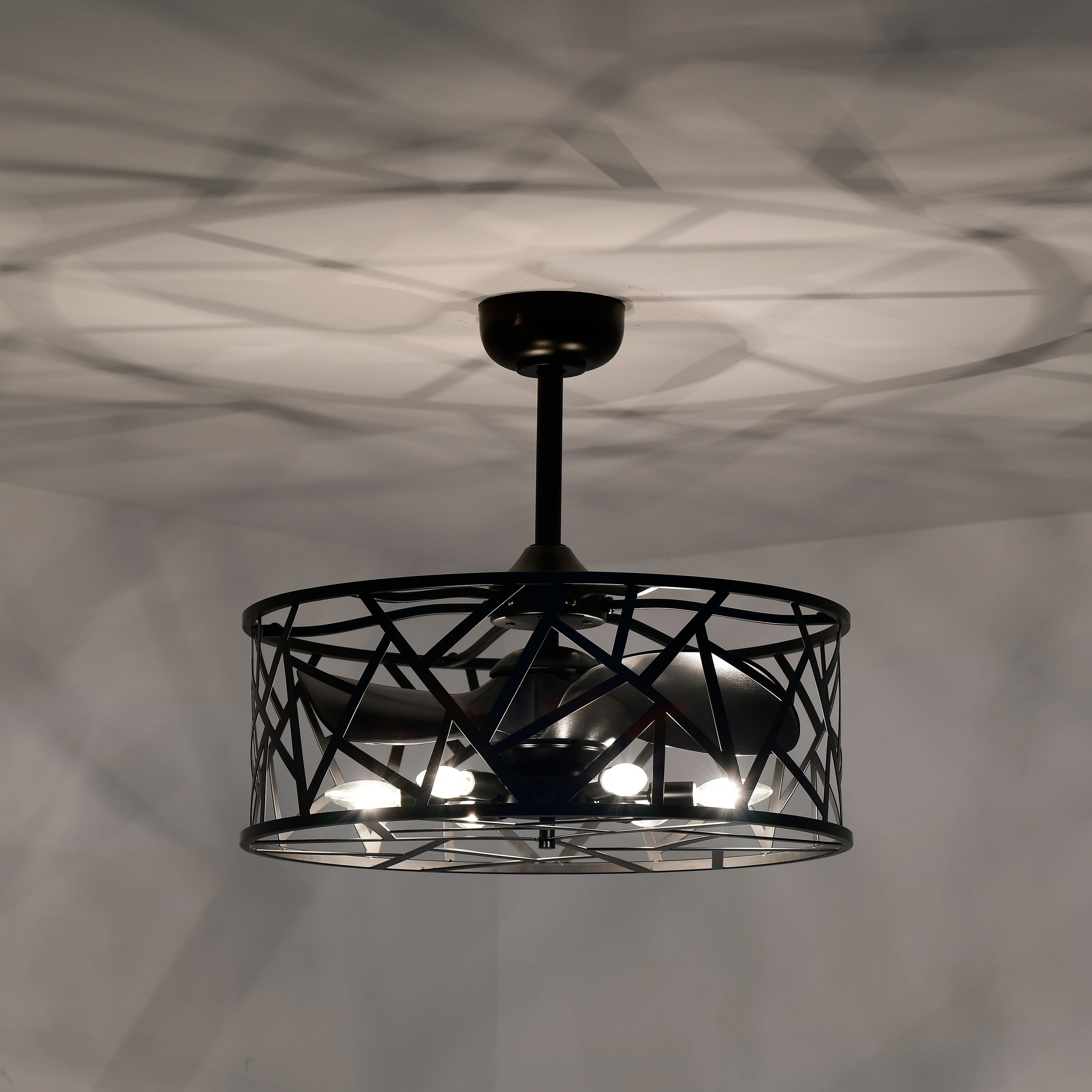 Leyton 24.4 in. Indoor Black Finish Ceiling Fan with Light Kit and Remote