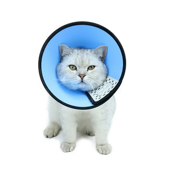 Dog Cone Collar Adjustable After Surgery, Comfortable Pet Recovery Collar & Cone for 11.5''-14.5'Neck Size Medium Small Dogs, Elizabethan Dog Neck Collar Plastic Practical Blue