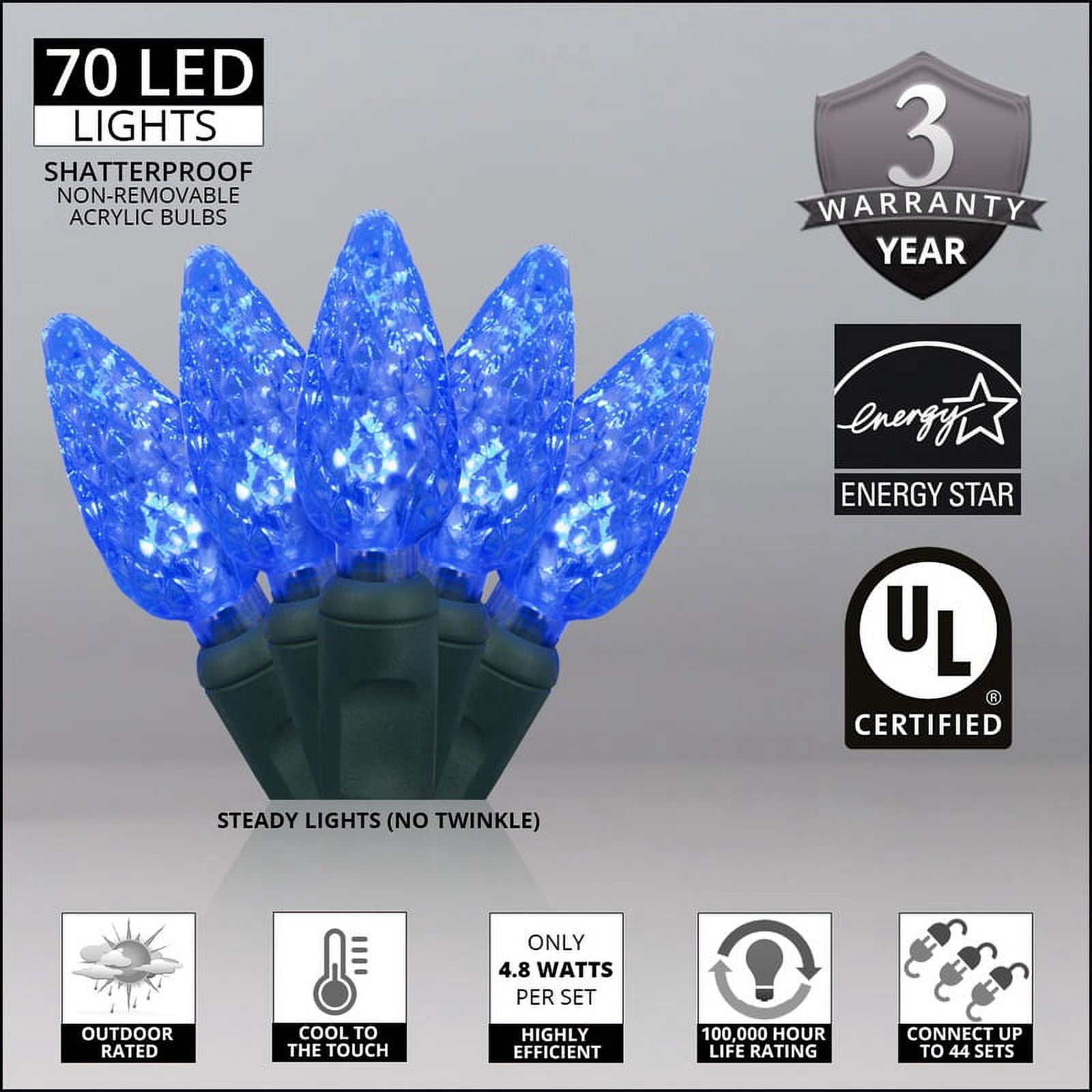 Wintergreen Lighting C6 Blue Christmas Lights LED String Lights, Set of 70 Lights on Green Wire, 24 Ft - Indoor/Outdoor Lighting