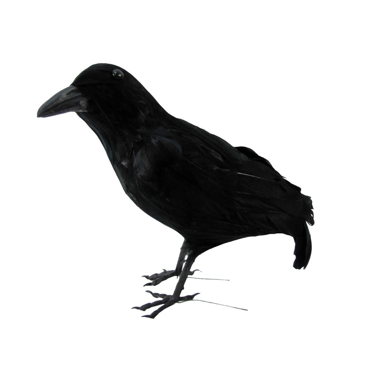 Black Lifesize Raven Movie Prop Fake Crow Halloween Accessory Bird Hunting Decoy 