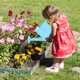 thumbnail image 5 of JilgTeok Horticultural Iron Sheet 600ML Watering Can Kettle Children's Watering Pot Planting Tool Mini Watering Can Mini Toy Beach Garden Watering Bucket Outdoor for Kids, 5 of 5