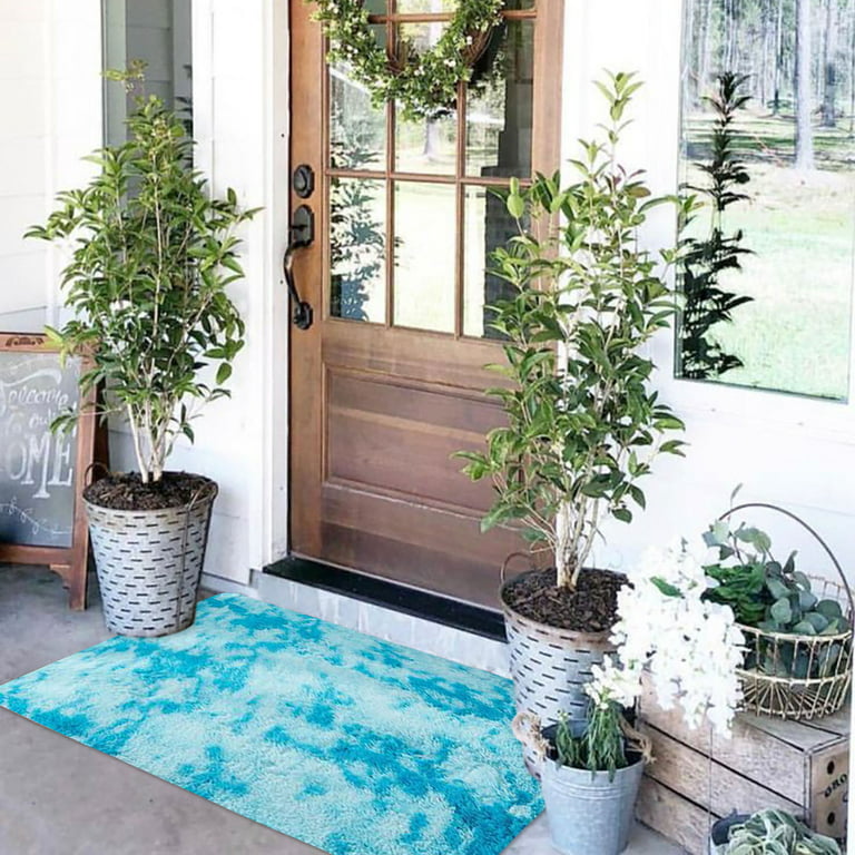 Dezsed Front Door Mat Welcome Mats Indoor Outdoor Soft Rugs Entryway Mats  for Shoe Scraper, Ideal for Patio, Porch Inside Outside Home High Traffic  Area 