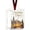 #153 Christmas Cash Gift Ornament, variant on Christmas Cash Gift Ornament, Christmas Money Holder for Cash Gift, Christmas Tree Decoration, Funny Holiday Xmas Tree Hanging Ornaments Decor