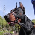 thumbnail image 3 of Kuorak No-Pull Dog Head Collar Adjustable Dog Head Halter with Padded Nose Band Reflective Training Muzzle Leash for Medium Large Dogs, 3 of 7