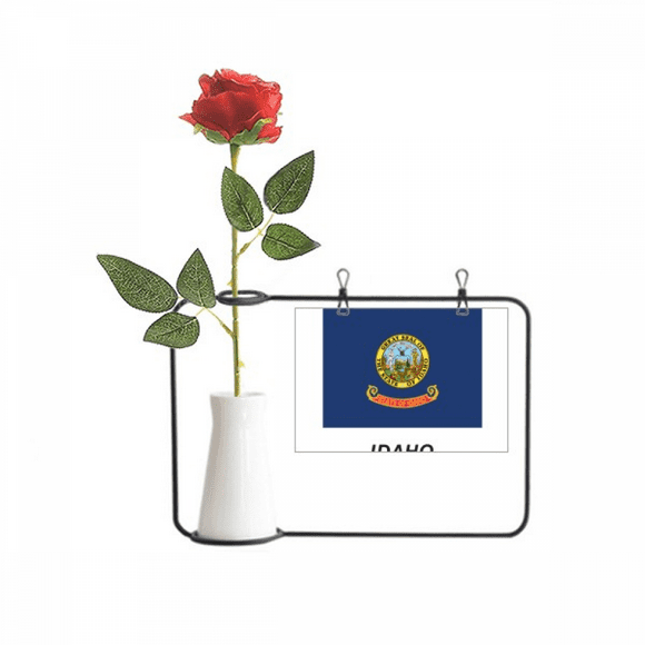 Contour Flag State Idaho Art Déco Mode Artificielle Rose Fleur Suspendu Vases Décoration Bouteille