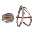 thumbnail image 1 of Arnés de pecho para perro con 2 trabillas de metal ajustable, reflectante, fácil de limpiar, correa duradera para perro para mascota, 1 of 8