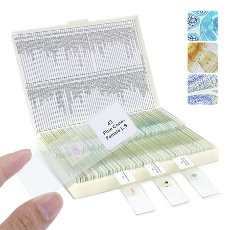 LAKWAR Microscope Slides  120PCs Prepared Microscope Slides with Specimens for Kids Microbiology Disc for Microscope Cells price history on PriceWatchPro