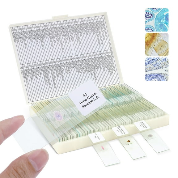 LAKWAR Microscope Slides, 120PCs Prepared Microscope Slides with Specimens for Kids Microbiology,Disc for Microscope Cells