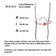 thumbnail image 4 of Rodilleras MAXFIT de Gimnasio y Crossfit/GM425 Maxfit sports Rodillera corta, 4 of 8
