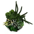 thumbnail image 2 of Bornbridge Artificial Succulent Plants in Planter - Mini Succulent Plants - Mica, 2 of 5