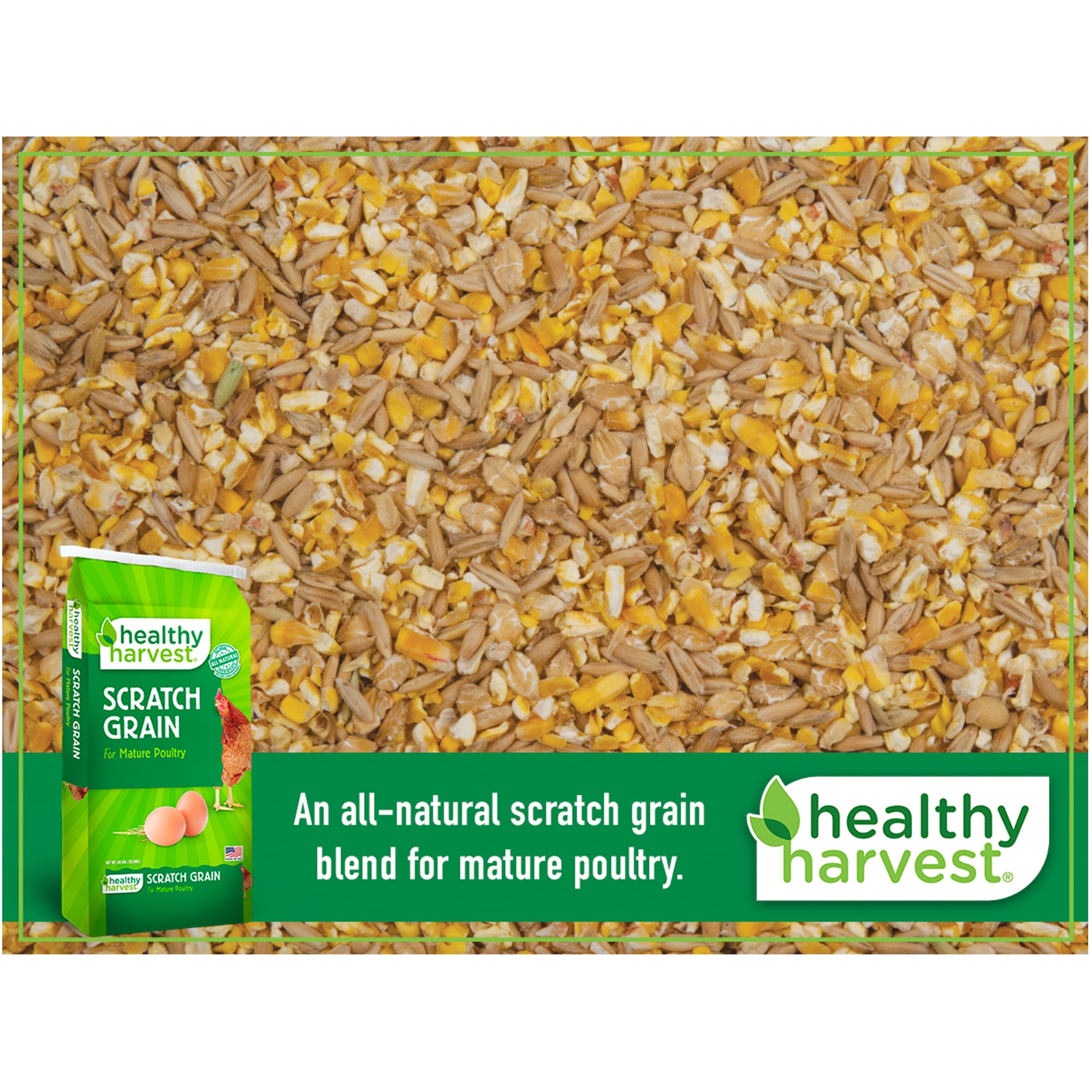 (2 pack) Healthy Harvest Scratch Grain Treat for Mature Chickens, 40 lb Bag