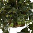 thumbnail image 4 of Nearly Natural 24" Plastic/Polyester Philo Plastic Artificial Plant Hanging Basket, Green, 4 of 6