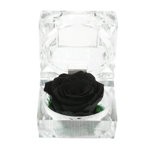 1 rosa fresca preservada en cúpula de cristal con cinta decorativa, regalo para San Valentín, aniversario, cumpleaños (negro)