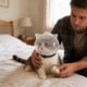 thumbnail image 3 of Bozal multifuncional para gatos, para evitar mordiscos y lametones; collar ajustable y transpirable, 3 of 4