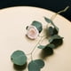 thumbnail image 5 of 50 rosas artificiales de 3 cm para decoración de bodas (rosa claro), 5 of 7