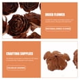 thumbnail image 4 of Miangastore 10pcs DIY Plant Samples Dry Flowers Material DIY Craft Material DIY Plant Specimen Decor, 4 of 8
