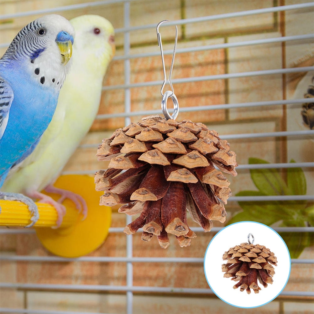 Phenofice 5Pcs Parrot Chew Toys Pine Cone Bird Cage Accessories Satisfy Chewing Instincts