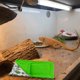 thumbnail image 4 of Saco de dormir para reptiles, juego de saco de dormir para mascotas con almohada y manta, hábitat de escondite con suave y cálido, 4 of 5