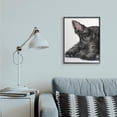 thumbnail image 2 of Stupell Industries Sleepy Scottish Terrier Portrait Adorable Pet Dog Black Framed, 24 x 30, Design by George Dyachenko, 2 of 8