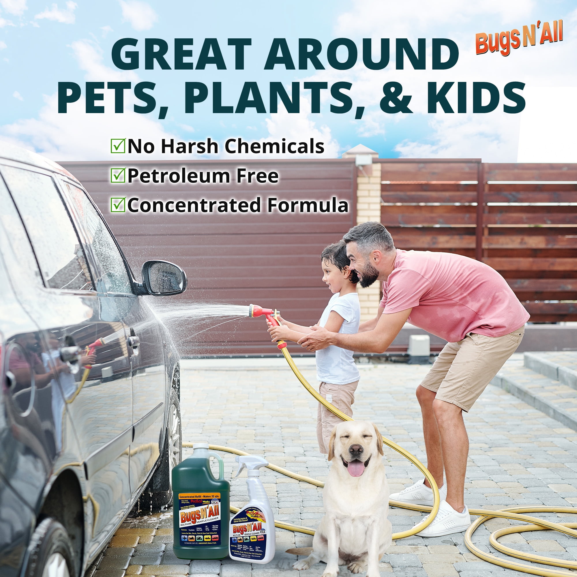 Bugs N All - Bug and Tar Remover - Interior & Exterior Cleaner for Car & Other Vehicles, 1 Gal