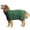 Green-X-Large, variant on Dog Drying Coat XXX-Large Grey Fast Absorbent Pet Bathrobe