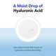 thumbnail image 4 of Serum Facial ISNTREE Ácido Hialurónico Hidratante Profundo, 4 of 8