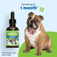thumbnail image 6 of Pet Wellbeing Natural Dog Allergy Relief - Sneeze Ease (Nettle Eyebright Gold) 2oz (59ml), 6 of 9