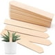 thumbnail image 1 of 30 etiquetas de madera para plantas, letreros de madera para plantas para plántulas de hierbas de jardín (15,3 × 2 × 0,3 cm), 1 of 5