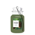 thumbnail image 2 of Yankee Candle Paper Car Jar, Balsam & Cedar (Pack of 6), 2 of 4